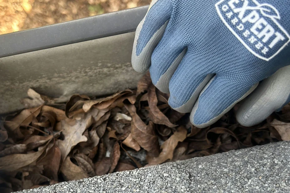 Gutter Cleaning Concord VA