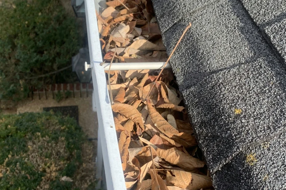 Gutter Cleaning Concord VA