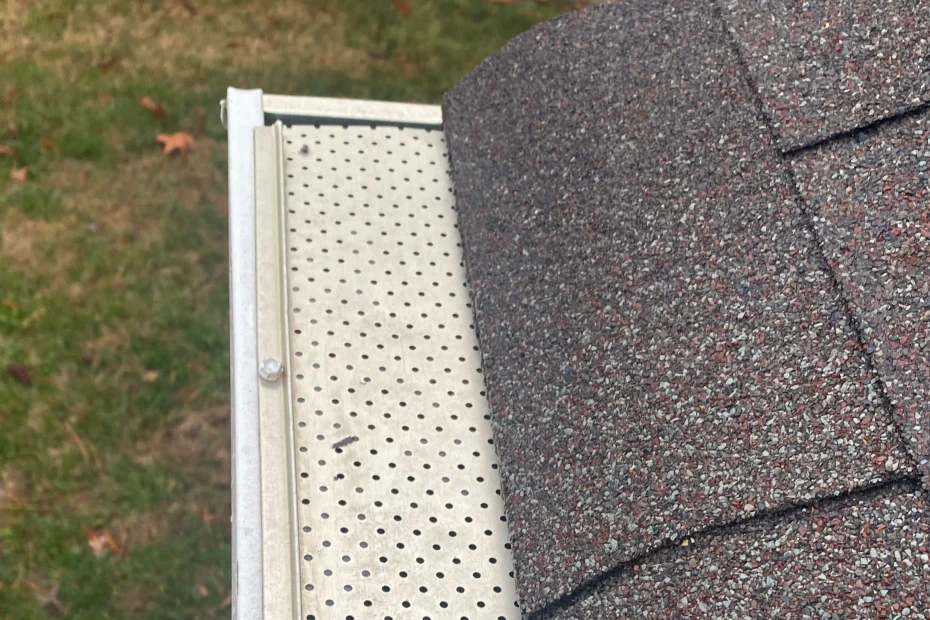 Gutter Cleaning Concord VA